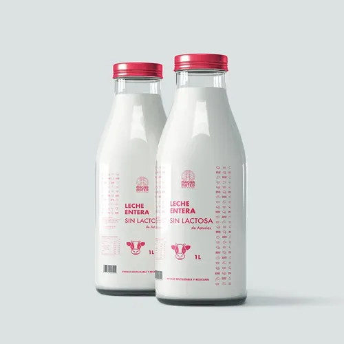 Diseño Visual Online