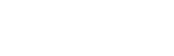 maxon-partners maxon-partners