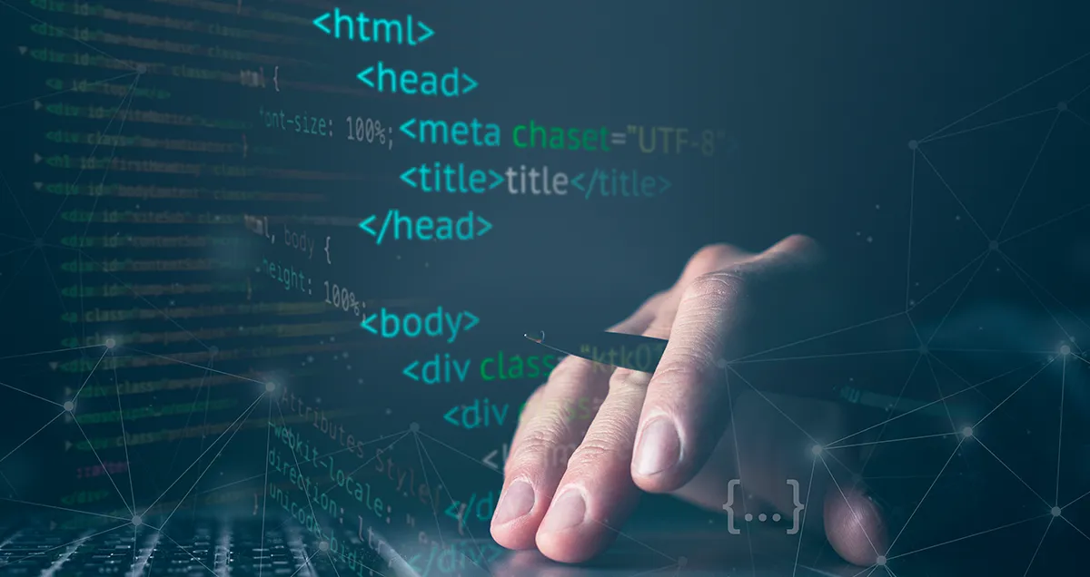 desarrollo web