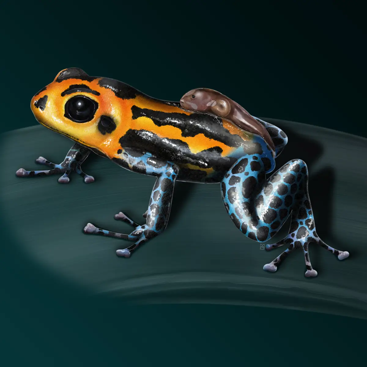 Ylenia Vimercati Molano Ylenia Vimercati Molano