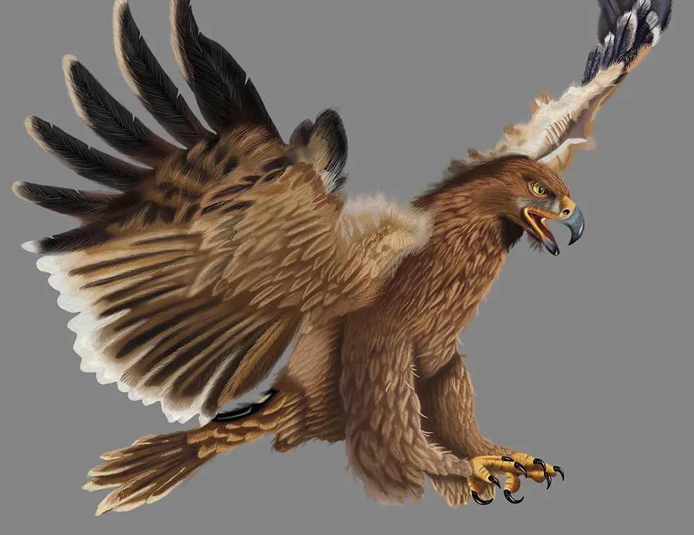 Máster en ilustración Online