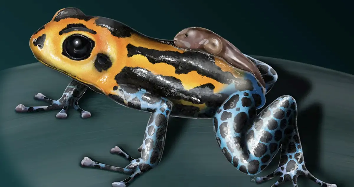 Correcciones sobre el lienzo: El revolucionario sistema de feedback visual en la Ilustración Online